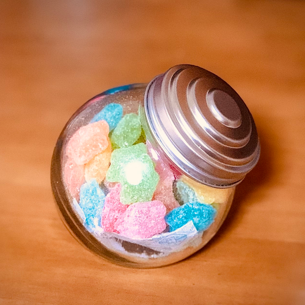 メンバー写真